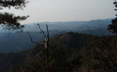 �W�]�䂩��̒���