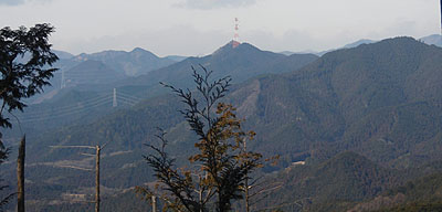 339m����̒���