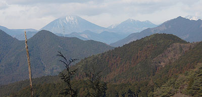 339m����̒���