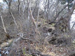 ���}�Ȕ�����