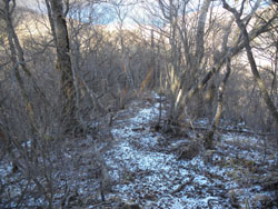 �ၕ�����Ő^�����`