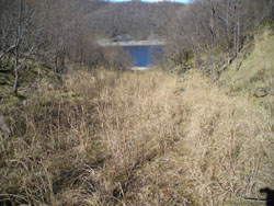 �o�R���͍���