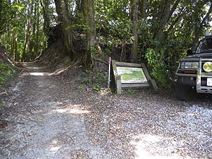 �o�R���̘e�ɂɒ���