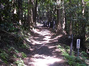 ���т̓���i�ށB