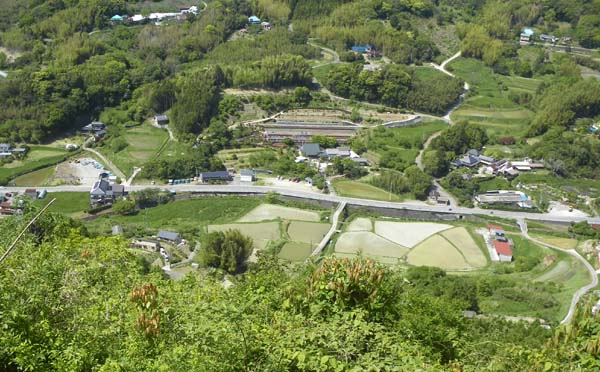 �������猩���i�F�B