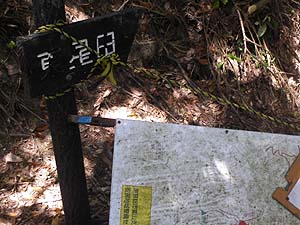 ����̕W��