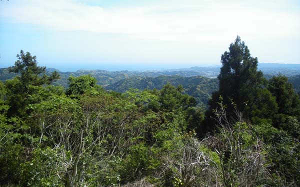 ��������̌i�F�B