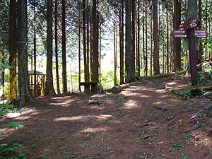 �q�m�L�̍L��