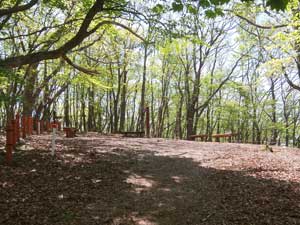 �y�x�R�R��(1348.5m) 