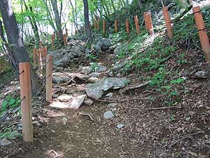 山頂からの登山道。