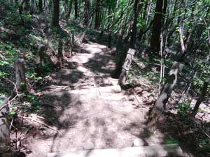 �R������̓o�R��