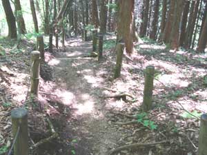 山頂からの登山道