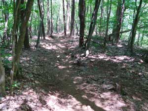 �N���L�ꂩ��̓o�R���B