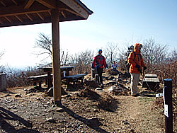 �D�P�_�ЂɌ�����Nozomi