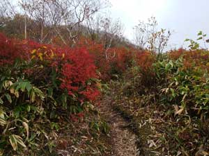 �����K����̓o�R��