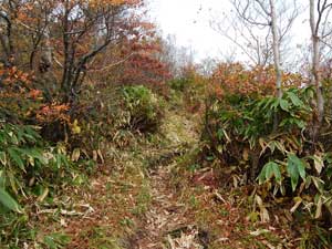 �����K����̓o�R��