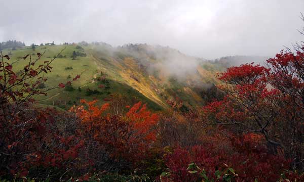 �C�J��̓����猩�����ԎR