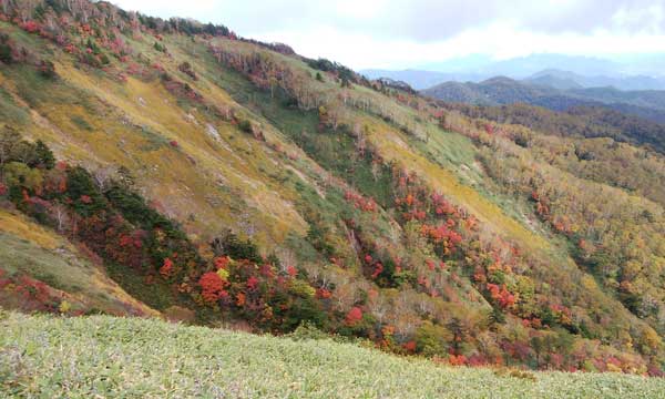 ��������̒���