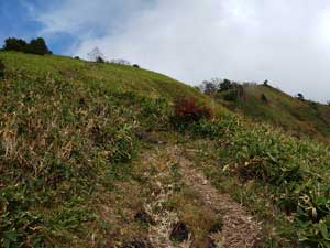 ���̌�̓o�R��