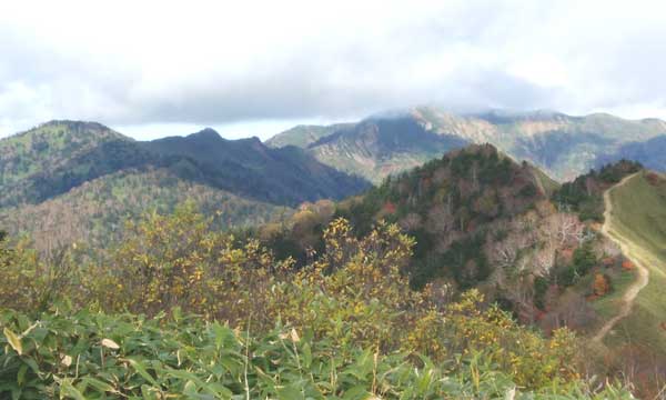 �R������̒���