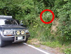 �Ŕ炵������������