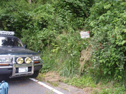 �o�R���̊Ŕ�