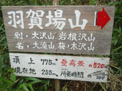 �o�R���̊Ŕ�