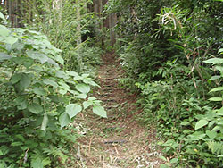 �o�R������̓o�R��