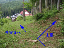 ����������̓o�R���ƍ���