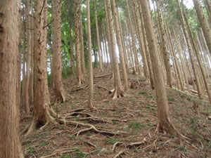 ���\�Γx�̂�����������l�߂�