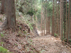 �ѓ��炵����