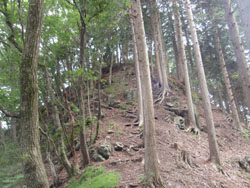 �}�ȎΖʂ̏�͎R���H