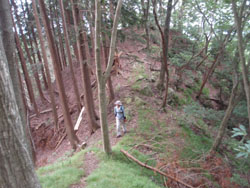 �s�[�N�_������