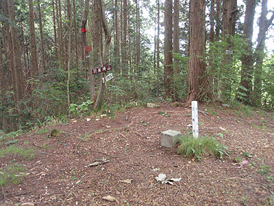 �F���R �R��(774.5m)