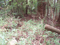 ����ȏ������Ă������ȁH