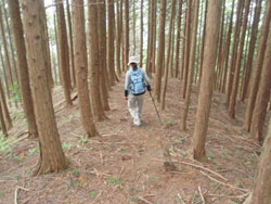 2�ڂ̓S������̓o�R��