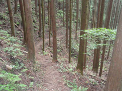 �����������I��萙�т�����