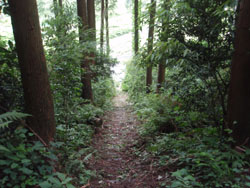 �X�^�[�g�n�_�������Ă���