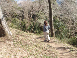 �R������̉��R