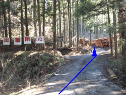 ���ڑ�o��