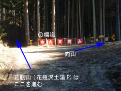 �{���̂��ڑ�o��