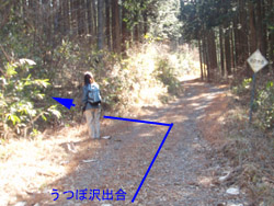 �ѓ�����