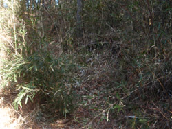 ���݌�̂���ꏊ