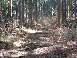 �M��i�ނƗѓ��ɏo��