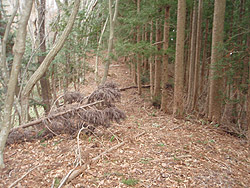 ��������i��