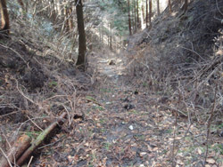 �h�q�R �R��