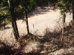 �ԕr��y��P