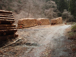 �ޖؒu����