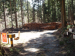 ���ڑ�o��