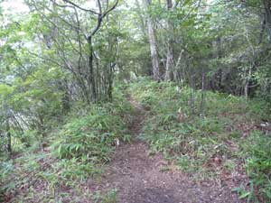 �X�ȎR�R������̓o�R���B